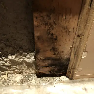 Mold Remediation